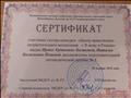 Сертификат участника смотр-конкурса "Центр нравственно-патриотического воспитания "Я живу в России"